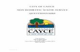 CITY OF CAYCE NON-DOMESTIC WASTE SURVEY QUESTIONNAIRE · NON-DOMESTIC WASTE SURVEY QUESTIONNAIRE SECTION A - GENERAL INFORMATION ... Soaps & Detergents Manufacturing ... which sample(s)