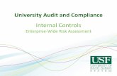 Internal Controls · improve their control systems. COSO . Monitoring . Risk Assessment . Control ... Organization-wide commitment to strong internal controls, effective risk ...