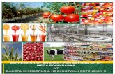 Final EOI for Setting up of Mega Food Parks V9 3 · 2017-12-15 · EXPRESSION OF INTEREST FOR SETTING UP OF MEGA FOOD PARKS AT ... will undertake preparation of Detailed Project Report