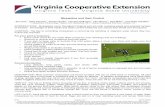 Mosquitoes and their control - Virginia Tech · For your yard or business ... • If you plan to keep cans or buckets that hold water, ... Mosquitoes and their control.docx