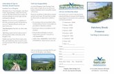 Sponsor · Hatchery Brook PreserveSponsor Trail Map & Informationthe three picnic tables on the shore of the 52 Carry Road, Oquossoc, ME 04964Rangeley Lakes Heritage Trust