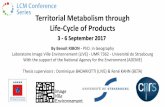Territorial Metabolism through Life-Cycle of Productslcm-conferences.org/wp-content/uploads/2017... · air, water, soil) (greenhouse gas, landfill, ... ... • You must prepare ppt