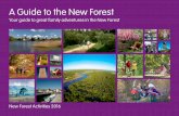 New Forest Activites | Guide to The New Forest · New Forest Guidebook 2016A Guide to the New Forest Your guide to great family adventures in the New Forest ... There are many wild