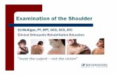 Examination of the Shoulder - Continuing ED Shoulder Examination - tablet... · Examination of the Shoulder ... Palpation MMT – Scapular ... Ellenbecker TS, et al, Clin Orthop Relat