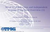 What is an Effective and Independent Regulator: General ... · What is an Effective and Independent Regulator: General Overview (1) ... What is and Effective and Independent Regulator: