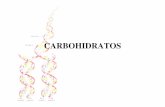 Carbohidratos - emagister.com · ”Lehninger Principles of Biochemistry” 3th.ed. Nelson, DL and Cox, M.M. Worth Publishers, 2000.) Amilosa Amilopeptina POLISACÁRIDOS DE ALMACENAMIENTO
