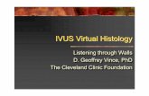 IVUS Virtual Histology - summitmd.com · IVUS Virtual Histology Listening through Walls ... Devyani Bedekar, BS. Title: Vince_May_1_afternoon_Korea.ppt Author: Administrator