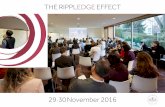 THE RIPPLEDGE EFFECT - Edge Cert · Malcom Gladwell: Blink. The Power Of Thinking Without Thinking Knowledge Cards Robin J. Ely, Pamela Stone and Colleen Ammerman (2014): Rethink