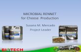 MICROBIAL RENNET for Cheese Production - .• PCIEERD project: Scale up target production is 20%