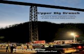 Upper Big Branch - NPR · It is with sadness and honor that I submit this report of the Upper Big Branch mine disas-ter to you. ... Upper Big Branch mine, owned by Massey Energy and