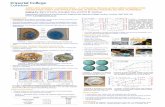 AIRFLOW ENERGY HARVESTING - A DYNAMIC …eh-network.org/events/eh2016/posters/Fu.pdf · AIRFLOW ENERGY HARVESTING - A DYNAMIC REGULATING MECHANISM FOR ... FABRICATION AND TESTS ...