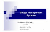 Bridge ManagementBridge Management Systemsosp.mans.edu.eg/elbeltagi/Infra-Bridge Management System.pdf · Bridge ManagementBridge Management Systems ... Infrastructure asset management