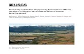 Summary of Studies Supporting Cumulative Effects Analysis … · Summary of Studies Supporting Cumulative Effects Analysis of Upper Yellowstone River Channel Modifications By Gregor