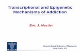 Transcriptional and Epigenetic Mechanisms of …az9194.vo.msecnd.net/pdfs/100401/EB10L5.pdf · Transcriptional and Epigenetic Mechanisms of Addiction. Dr. Ray Fuller ... • PCP,