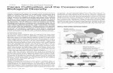 Cacao Cultivation and the Conservation of Biological Diversityorton.catie.ac.cr/repdoc/A3565i/A3565i.pdf · Cacao Cultivation and the Conservation of Biological Diversity Cacao (Theobroma