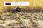 mAgri Design Toolkit - GSMA · The mAgri Design Toolkit is ... providers must form partnerships with ... support key actors to design products and services for smallholder farmers