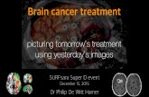 Brain cancer treatment - SURF · 0078936 Brain cancer treatment picturing tomorrow’s treatment using yesterday’s images SURFsaraSuper D event December 15, 2015 DrPhilip De Witt