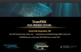 TransPRK - eye-tech-solutions.com · Epithelial Healing and Clinical Outcomes in Excimer Laser Photorefractive ... A Clinical and Confocal Microscopic Comparison of Transepithelial