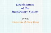 Development of the Respiratory System - Fudan …jpkc.fudan.edu.cn/picture/article/426/5a/c4/34158dd347339727a45b9... · Plan of development • The primordia for the respiratory