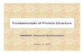 Fundamentals of Protein Structure - Computer Sciencepredrag/classes/2006springi690/class2.pdf · – organism →cell →subcellular structures (organelles) →polymeric ... Biochemistry