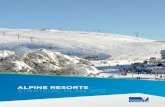 ALPINE RESORTS STRATEGIC PLAN 2012 · and tourism destination, ... draft Alpine Resorts Strategic Plan 2012 ... DPCD Department of Planning and Community Development