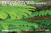 Ferns of the National Forests in Alaska - US Forest … · Ferns of the National Forests in Alaska. 2 ... growing conditions for ferns. ... Ferns and horsetails reproduce via spores