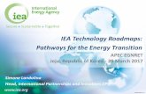 IEA Technology Roadmaps: Pathways for the Energy … · transport and heat, demand response, power-to-X. ... To enhance the impact of the IEA’s technology roadmap ... feedstock