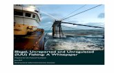 Illegal, Unreported and Unregulated (IUU) Fishing: A ... · Illegal, Unreported, and Unregulated Fishing (IUU): A Whitepaper | June 2015 . 4. IUU has also been associated with an