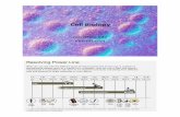 cathyramos.comcathyramos.com/images/BT-9-8-14-CellNotesP1.pdf · Golgi Apparatus Mitochondria Lysosomes Peroxisomes Cilia and Flagella Basal Bodies Centrioles Vacuoles Plastids .