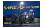 Schizophyllan as biopolymer for EOR Lab and field … Polymer Flooding/20… · Confidential Schizophyllan as biopolymer for EOR Schizophyllan and its properties Production of Schizophyllan