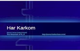 Har Karkom - The Jewish Homethejewishhome.org/overviews6/Yitro/HarKarkom.pdf · scorpions, serpents, and a venomous lizard. ... Har Karkom • Fig. 152a/b ... form has a dual rounded