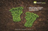 REVITALIZING THE SOIL OF GROWTH - Insecticides …2016... · ANNUAL REPORT - . ... Vinod Kumar Mittal Independent Director ... to script a better future for Indian