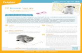 january | eye spy - Petplan · RUFF GUIDE: eye care RUFF GUIDE eye for an eye | other ocular conditions that pester our pets Conjunctivitis may be the most common condition plaguing