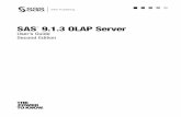 SAS 9.1.3 OLAP Serversupport.sas.com/documentation/onlinedoc/91pdf/sasdoc_913/...Deﬁning Member Properties 13 Deﬁning Distinct Count Measures 14 Deﬁning a Default Hierarchy 15
