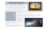 WHAT HAPPENED AT THE CROSS? - ShareHim - … · 2012-02-16 · WHAT HAPPENED AT THE CROSS? For millions around the world, the cross of Christ has led to eternal ... tionary death