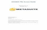 ADABAS File Access Guide · IKAN Solutions ADABAS FILE ACCESS GUIDE - RELEASE 8.1.3 CHAPTER 2 General Database Concepts & Terminology