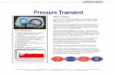 Pressure Transient UK - LEIF KOCH · View software display showing pressure input from a Pressure Transient data logger ... 4. 32 bit Windows based “Pressure Transient” analysis