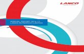 ANNUAL REPORT 2016-17 LANCO INFRATECH …lancogroup.com/pdf/CS/LITL-Annual_Report-2016-17.pdf · 3 Business Verticals EPC Our reputation for impeccable project management competencies