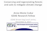 Conserving and regenerating forests and soils to … · Conserving and regenerating forests and soils to mitigate climate change ... in Nepal: a success story ... reduction of soil