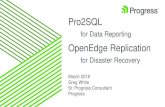 Progress PPT Template 16x9 - .OpenEdge Replication Plus allows you to do reporting on the Disaster