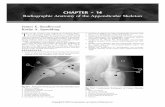 CHAPTER • 14 - UFPRdigima/leitura/Atlas radiografico do... · interest is necessary.The purpose of this chapter is to provide ... CHAPTER 14 • Radiographic Anatomy of the Appendicular