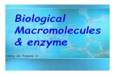 Biological Macromolecules & enzyme - JUfilesjufiles.com/wp-content/uploads/2016/05/03.Macromolecules.Lab... · 2 Macromolecules Examples: 1. Carbohydrates 2. Lipids 3. Proteins 4.