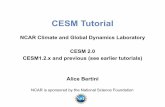 cesm tutorial 2017 · CESM Tutorial NCAR Climate and Global Dynamics Laboratory CESM 2.0 CESM1.2.x and previous (see earlier tutorials) Alice Bertini NCAR is sponsored by the National