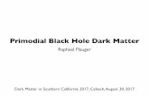 Primodial Black Hole Dark Matter - Keck Institute for ...kiss.caltech.edu/symposia/DaMaSC_2017/presentations/Flauger.pdf · Primodial Black Hole Dark Matter ... most longstanding