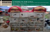 TRAFFIC CAGED IN THE CITY - International Union … · vi TRAFFIC Report: Caged in the city: ... regulatory system to ensure that trade does not threatened the survival of species