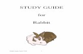 STUDY GUIDE for Rabbit - Serving Madera …cemadera.ucanr.edu/files/45163.pdfRabbit Study Guide 12/06 1 RABBIT STUDY GUIDE ALL LEVELS READ and HEED Did you know that.…. Dogs are