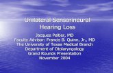 Unilateral Sensorineural Hearing Loss - Welcome to … · Unilateral Sensorineural Hearing Loss Jacques Peltier, MD Faculty Advisor: Francis B. Quinn, Jr., MD The University of Texas