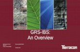 GRS-IBS: An Overview - pavement.engineering.asu.edu · • GRS-IBS – A fast, cost-effective method of bridge support that blends the ... construction methods Construction less dependent