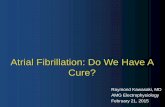 Atrial Fibrillation: Do We Have A Cure? - Advocate Health Care · Atrial Fibrillation: Concepts • Heterogeneous, complex dysrhythmia that changes the atrial substrate hence clinical