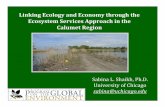 Linking Ecology and Economy through the Ecosystem Services€¦ · Linking Ecology and Economy through the Ecosystem Services Approach in the Calumet Region Sabina L. Shaikh, Ph.D.